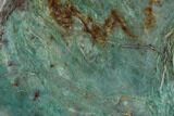 Polished Fuchsite Chert (Dragon Stone) End Cut - Australia #89985-1
